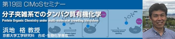 第19回CIMoSセミナー<br>分子夾雑系でのタンパク質有機化学<br>Protein Organic Chemistry under multi-molecular crowding biosystem